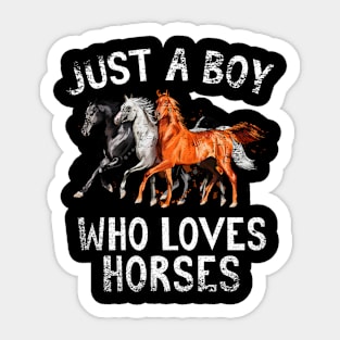 Just A Boy Who Loves Horses Sticker